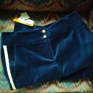 Cynthia Steffe Velvet Prussian Blue Trousers